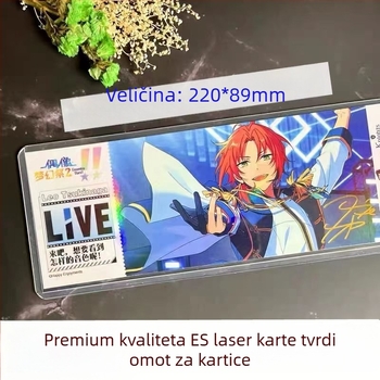 Držač kartica za koncertne ulaznice – tvrdi plastični kućište, prozirna zaštitna navlaka, modern minimalistički stil