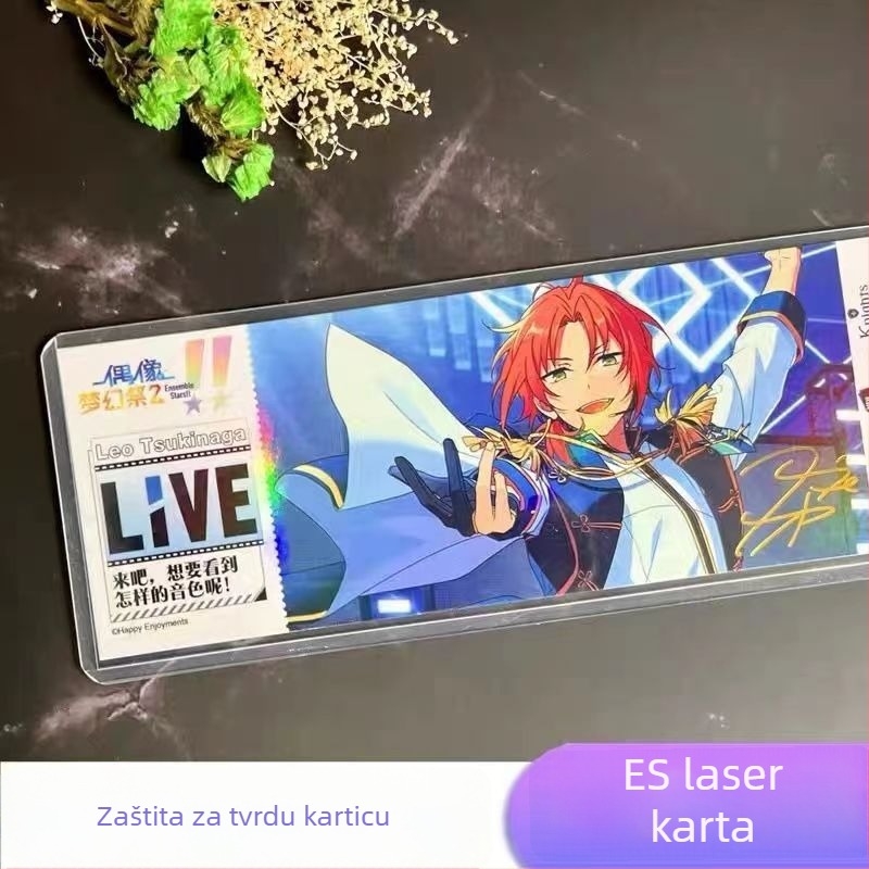 Držač kartica za koncertne ulaznice – tvrdi plastični kućište, prozirna zaštitna navlaka, modern minimalistički stil