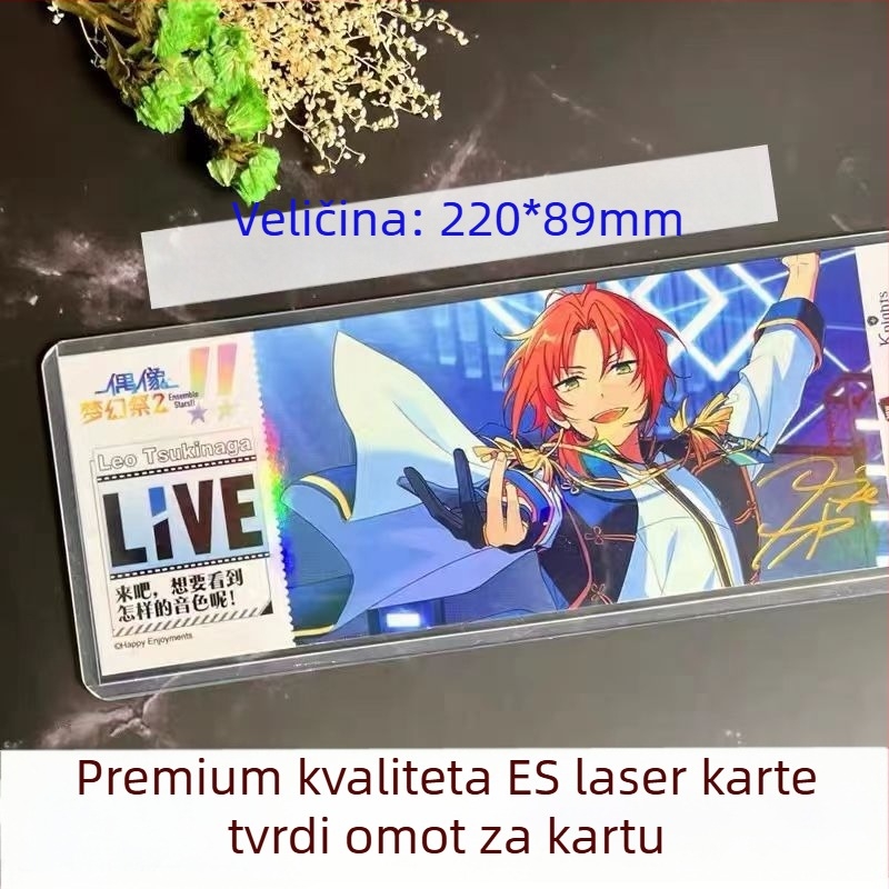 Držač kartica za koncertne ulaznice – tvrdi plastični kućište, prozirna zaštitna navlaka, modern minimalistički stil