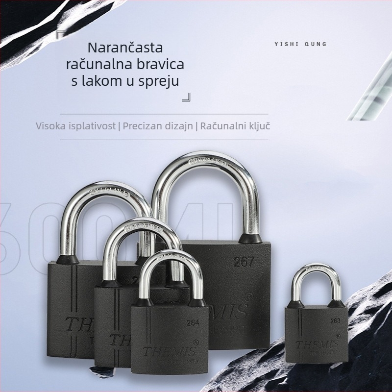 Sigurnosni katanac Type E | Materijal: željezo; Marka: THEMIS; Namjena: kućanstvo; Stil: moderni minimalizam