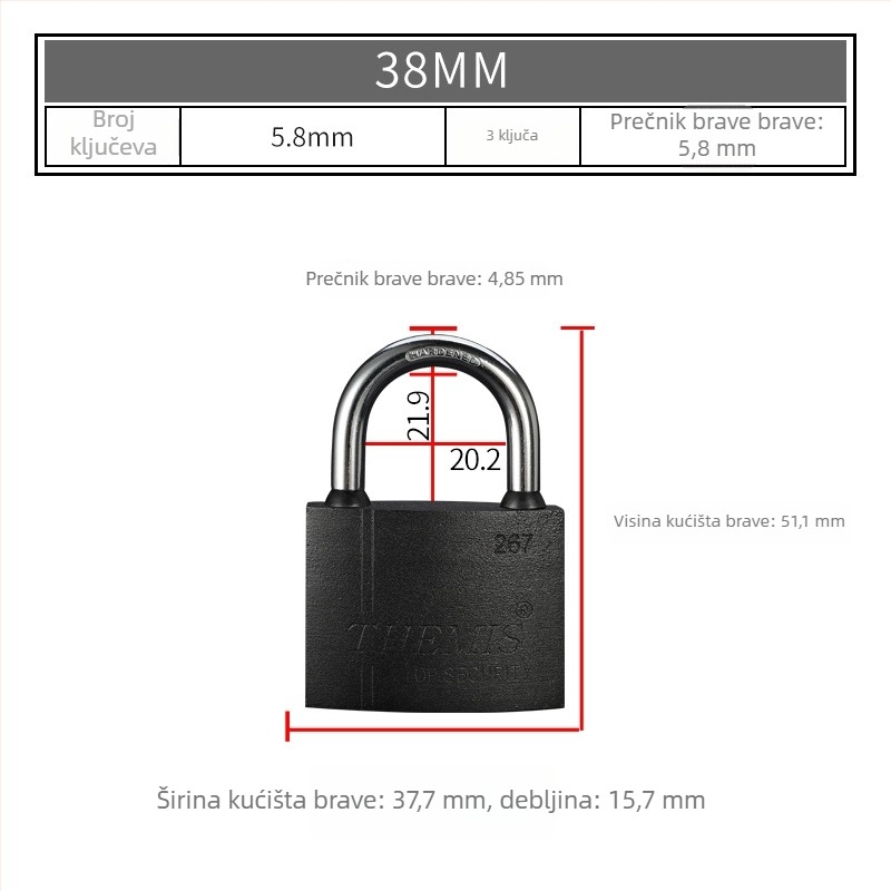 Sigurnosni katanac Type E | Materijal: željezo; Marka: THEMIS; Namjena: kućanstvo; Stil: moderni minimalizam