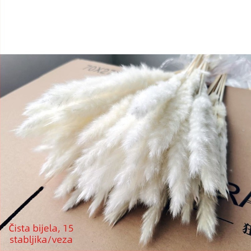 Male sušene biljke od trske, kompozicija u stilu zeca repa, 20727002165, jednostavno pakiranje, bez IP odobrenja