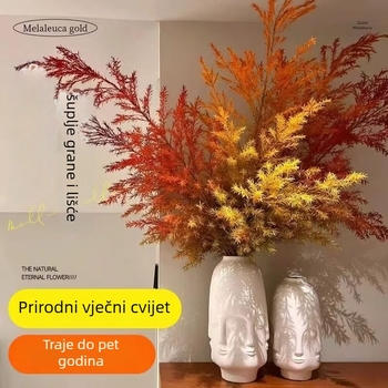 Cvijet – Sušeni obojeni cvjetovi za vrećicu