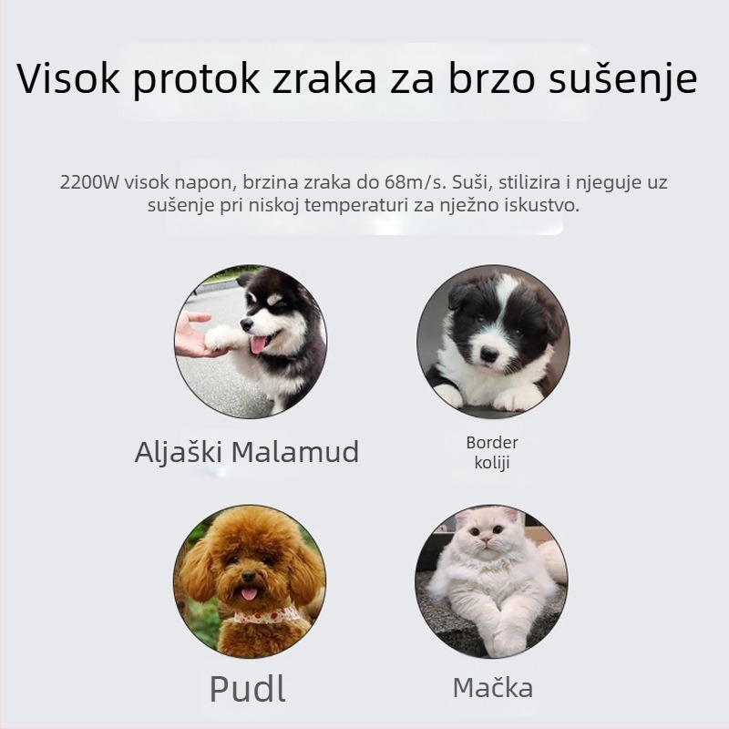 Sušilo dlake za kućne ljubimce za velike pse, DC motor, ispod 1000W, 220V, spiralna grijaća žica, zaštita od pregrijavanja