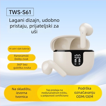 Zayson TWS Slušalice Bluetooth 5.3, HD digitalni zaslon, redukcija šuma, IPX5 vodootpornost, 4–8 sati rada