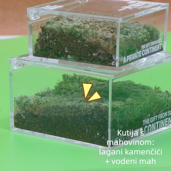 Rice Magpie Akril Moss Micro Landscape Stolna Boca — Prilagodljiv Oblik, Jednostavan Stil, Mogući Tisak Logotipa