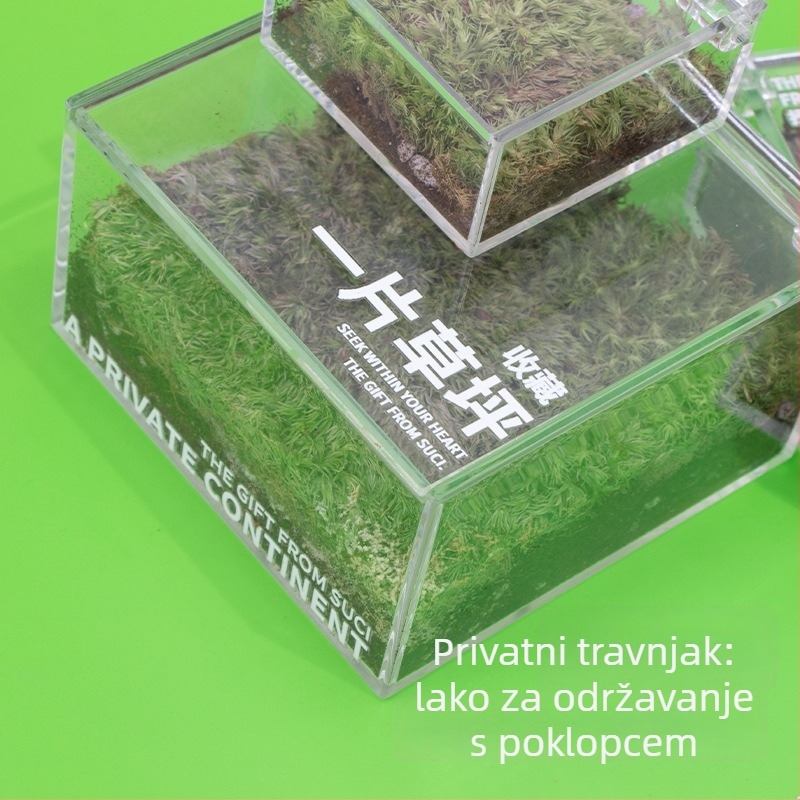 Rice Magpie Akril Moss Micro Landscape Stolna Boca — Prilagodljiv Oblik, Jednostavan Stil, Mogući Tisak Logotipa