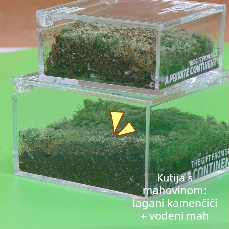 Rice Magpie Akril Moss Micro Landscape Stolna Boca — Prilagodljiv Oblik, Jednostavan Stil, Mogući Tisak Logotipa