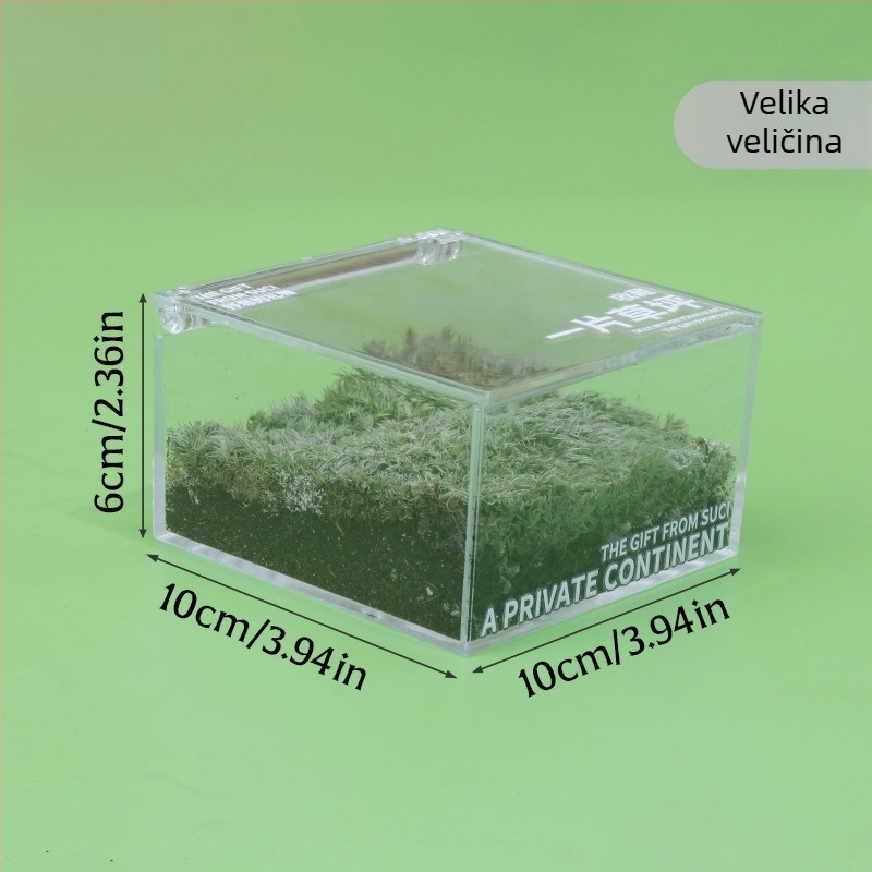Rice Magpie Akril Moss Micro Landscape Stolna Boca — Prilagodljiv Oblik, Jednostavan Stil, Mogući Tisak Logotipa