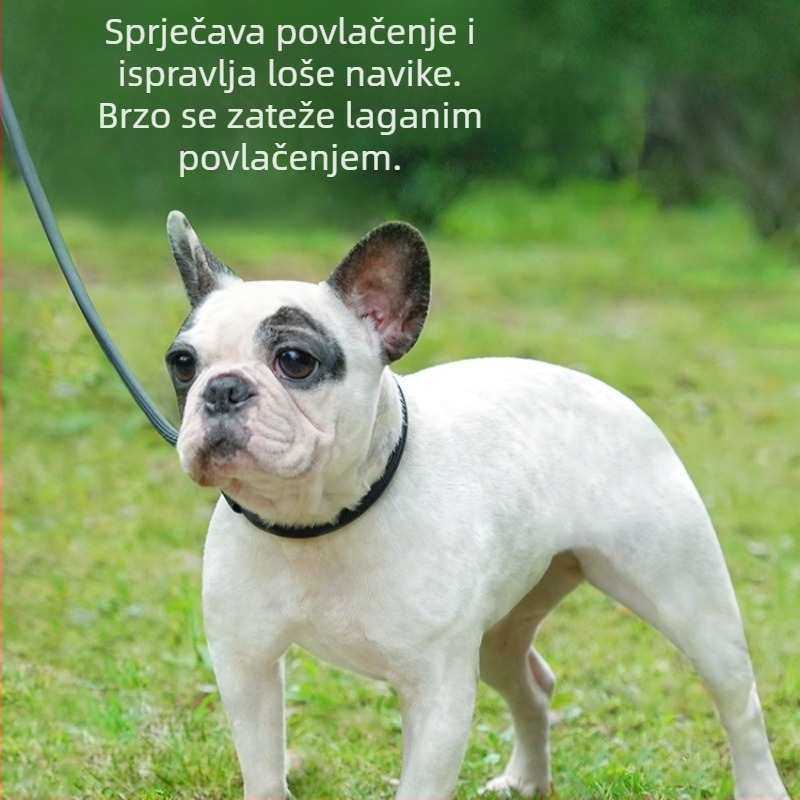 Najlon uzica za pse s P-lancom, reflektirajuće noćne šetnje, za male i srednje pse, trening