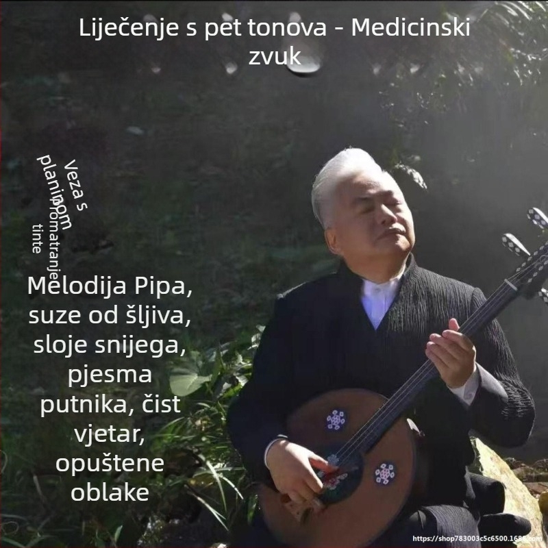 USB glazbeni disk za pentatonične kineske instrumente — piano, pipa, guzheng; visokokvalitetan zvuk za čajnu sobu; kompatibilno s ugradnjom u auto; bez zaslona