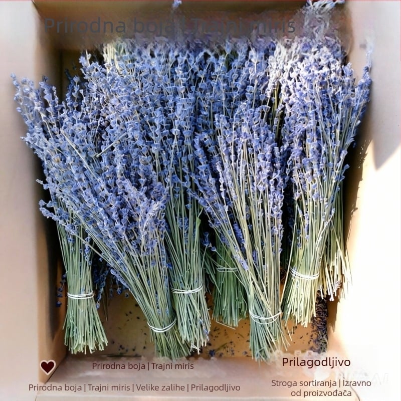 Lavandin buket od osušenog cvijeća, prirodan, bez boje, osušeno cvijeće s grančicama, za vrećice za aromaterapiju, pakiranje: OPP vrećica