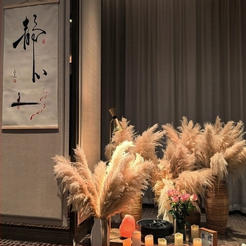 Suhi buket pampas trave za kućnu i vjenčanu dekoraciju, pakiranje vrećom ili kutijom, marka Diancaofang
