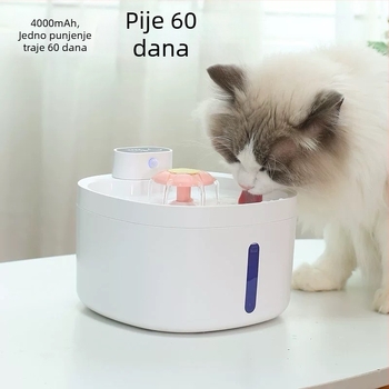 DC07 Dispenser za vodu za kućne ljubimce – za mačke i pse, odvojiv dizajn, težina 1 kg