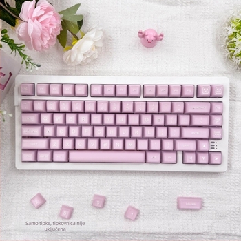 Keycaps za mehaničku tipkovnicu, PbTs materijal, univerzalna kompatibilnost, privatna marka, težina 420 g