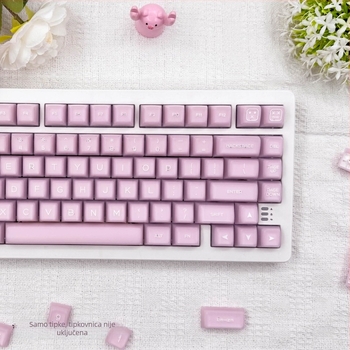 Keycaps za mehaničku tipkovnicu, PbTs materijal, univerzalna kompatibilnost, privatna marka, težina 420 g