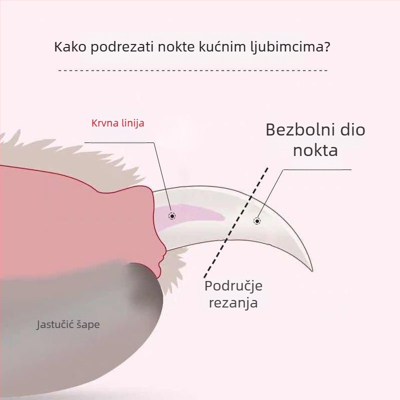 Dva u jedan alat za rezanje noktiju kućnih ljubimaca s LED pilnikom za mačke