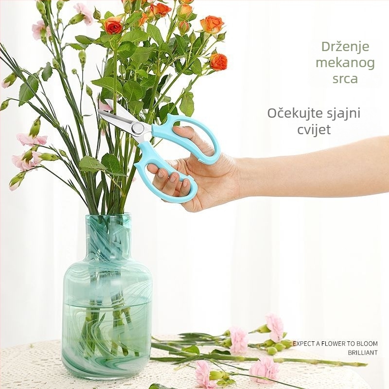 Pinheng nehrđajući čelik škare za podrezivanje za florikulturu, vrt i bonsaje