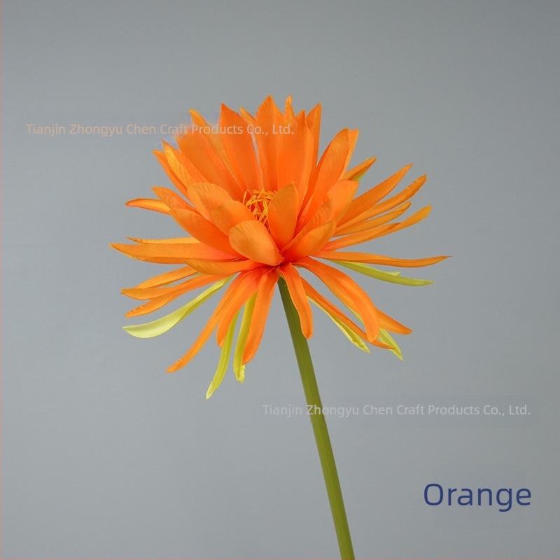 Umjetni Epiphyllum cvijet, s jednom granom, rekviziti za fotografiju, vjenčanje i kućnu dekoraciju; Materijal: svila; Obrada: stiliziranje, reljef; Model: 18904525367