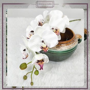 Umjetna Magnolia Phalaenopsis orhideja — Mala Phalaenopsis, Rod: Phalaenopsis, Marka: Wing Bee Craft Museum, Materijal: 35888897805, Upotreba: vjenčanja, rekviziti za fotografiju, kućna dekoracija