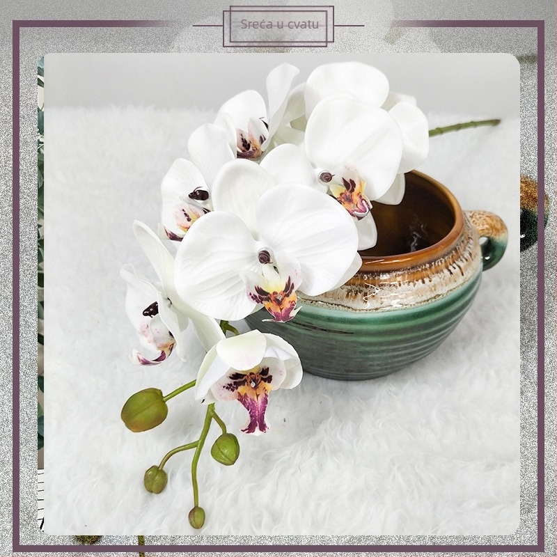Umjetna Magnolia Phalaenopsis orhideja — Mala Phalaenopsis, Rod: Phalaenopsis, Marka: Wing Bee Craft Museum, Materijal: 35888897805, Upotreba: vjenčanja, rekviziti za fotografiju, kućna dekoracija