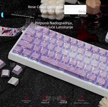 Rose Coast kapice za tipke, bočno gravirane, prozirne PBT, petostruka dye-sublimacija, prilagodljivo za igranje, set od 130 tipki, RGB pozadinsko osvjetljenje