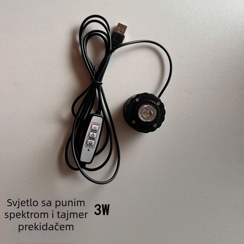 Ekološka boca od borosilikatnog stakla za mikro krajolik s USB lampom za biljke – DIY materijal