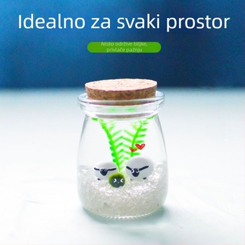 Staklena boca s mikro krajolikom za DIY hidroponiju – mini ukrasni suvenir