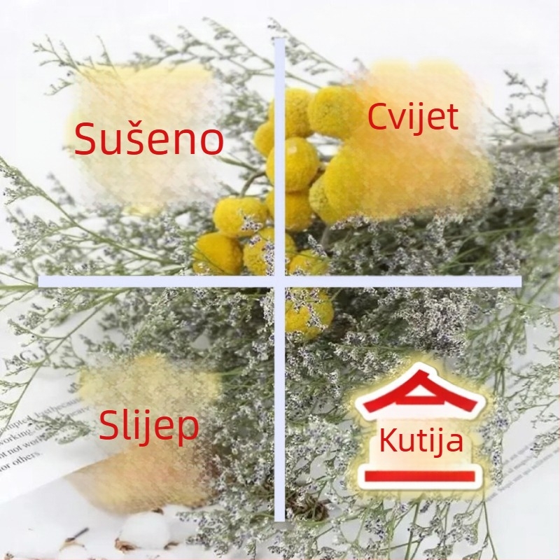 Isušeno cvijeće eukaliptus – zlatne kuglice, buket, pakirano u vrećicu