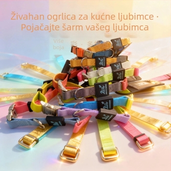 Pasji ovratnik u stilu blok boja s metalnom kopčom – izdržljiv najlon