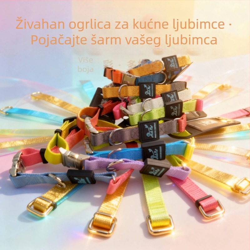 Pasji ovratnik u stilu blok boja s metalnom kopčom – izdržljiv najlon