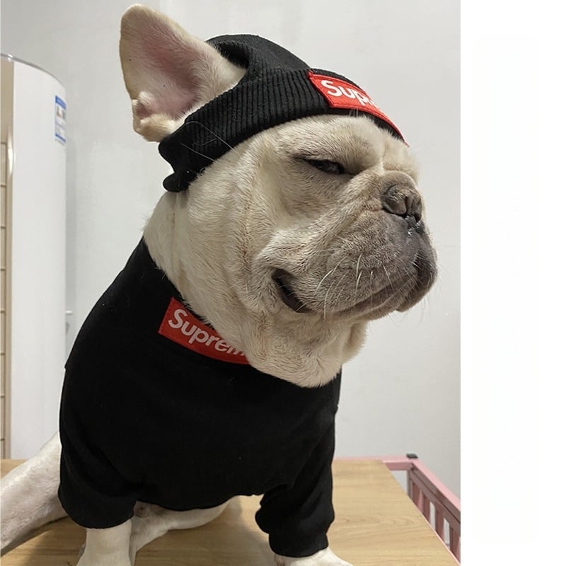 Set odjeće za pse s kapom - pamuk, ležerni stil, brend Hygge Pet