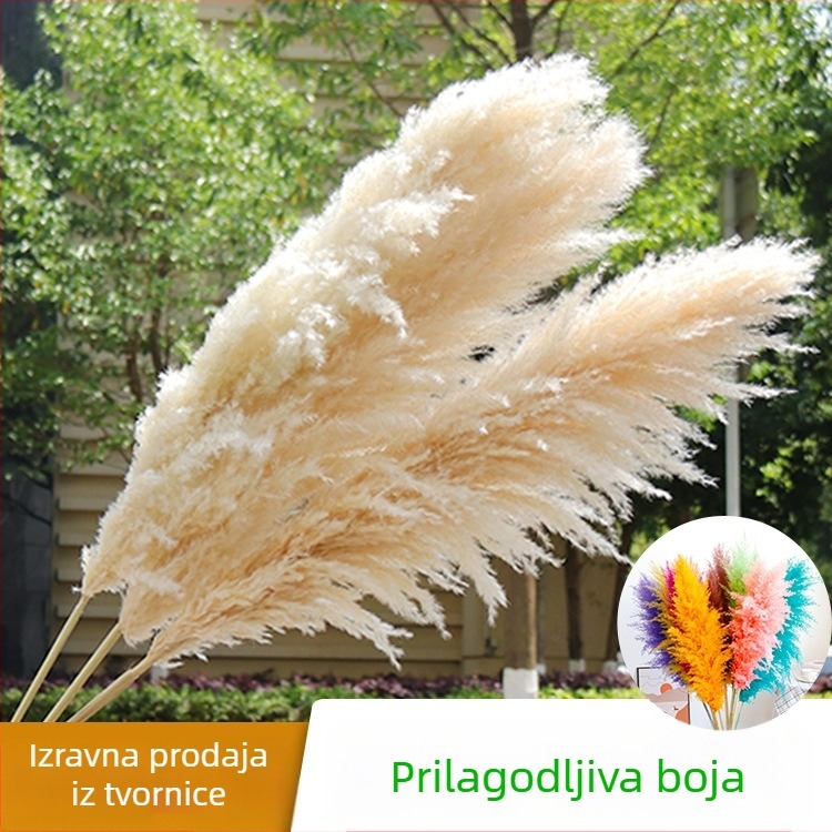 Set sušenog cvijeća za svadbenu dekoraciju u skandinavskom stilu – GHC-018, Elegant Lover