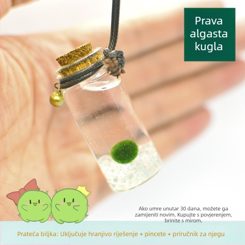 Staklena eco boca s marimo – mini vodeni krajolik, hidroponika, prilagodljiva, originalni dizajn