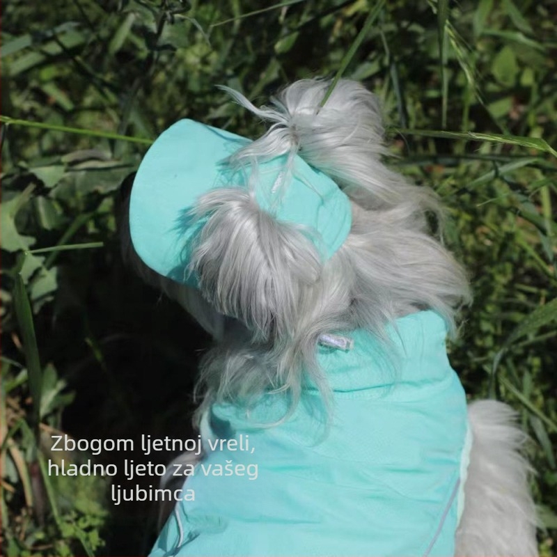 Šešir za sunce za pse - Poliester, strojno tkanje, Četiri sezone - BORORO Baolele