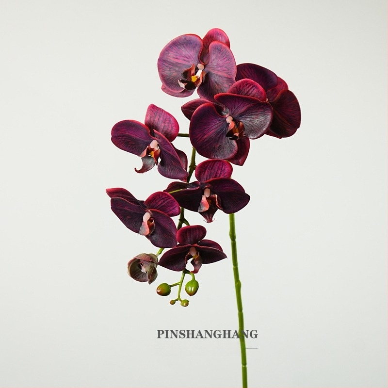 Umjetna Phalaenopsis orhideja – PVC materijal, proizvodni kod 19040010902, Marka Good character, sorta Phalaenopsis