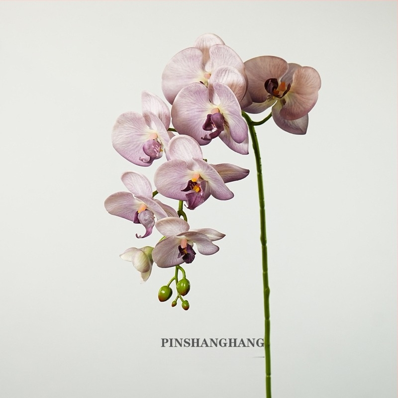 Umjetna Phalaenopsis orhideja – PVC materijal, proizvodni kod 19040010902, Marka Good character, sorta Phalaenopsis