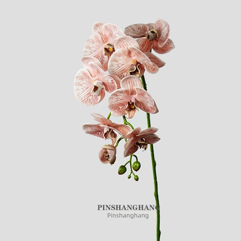 Umjetna Phalaenopsis orhideja – PVC materijal, proizvodni kod 19040010902, Marka Good character, sorta Phalaenopsis