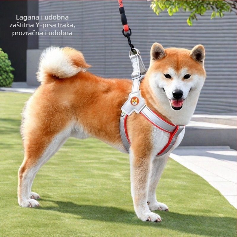 Postroj s prslukom i vodilicom za šetnju, za male i srednje pse poput corgi, bichon i teddy