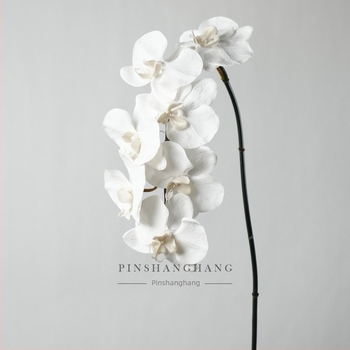 Lažna Phalaenopsis orhideja, PVC, mek dodir, jednostruki stabljika, Fashionable