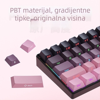 Gadiva mehanička tipkovnica – žičana, univerzalna kompatibilnost, RGB rasvjeta, ergonomski dizajn, mehanički prekidači