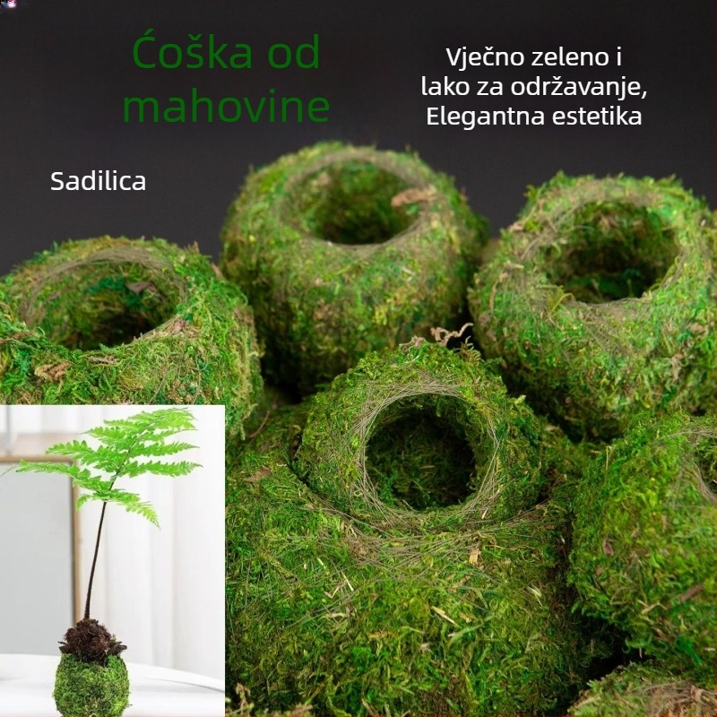 Haoyi keramička posuda za mahovinu kuglu — posuda za uzgoj Dendrobium orhideje, mikro pejzaž, kartonsko pakiranje, spremno za postavljanje