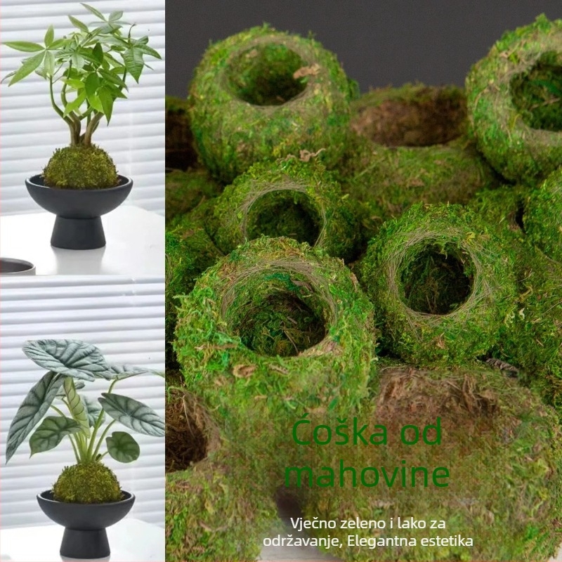 Haoyi keramička posuda za mahovinu kuglu — posuda za uzgoj Dendrobium orhideje, mikro pejzaž, kartonsko pakiranje, spremno za postavljanje