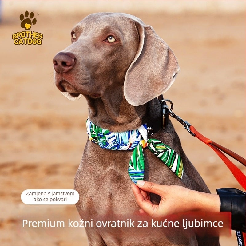 Ovratnik za pse od prave kože goveda - Cat Brother and Dog Brother, Leisure stil, pogodan za sve sezone, za pse