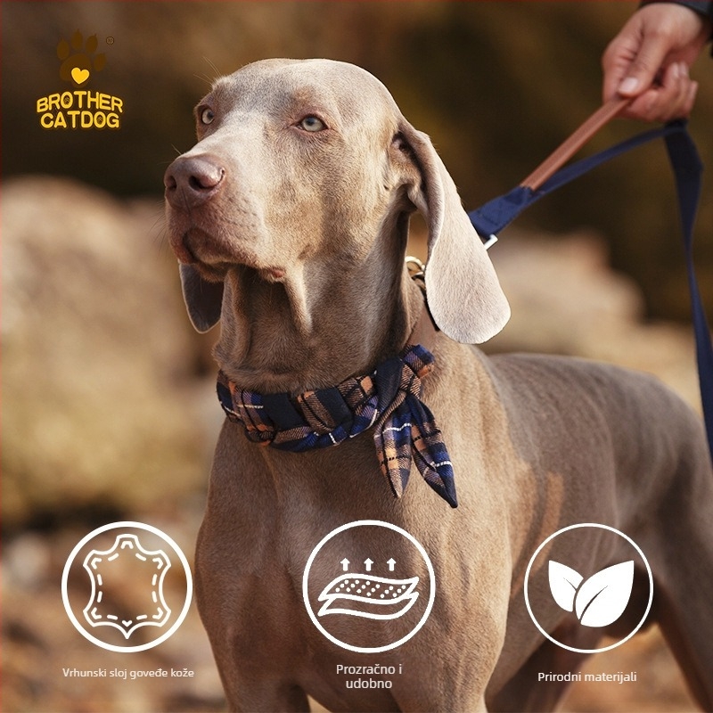 Ovratnik za pse od prave kože goveda - Cat Brother and Dog Brother, Leisure stil, pogodan za sve sezone, za pse