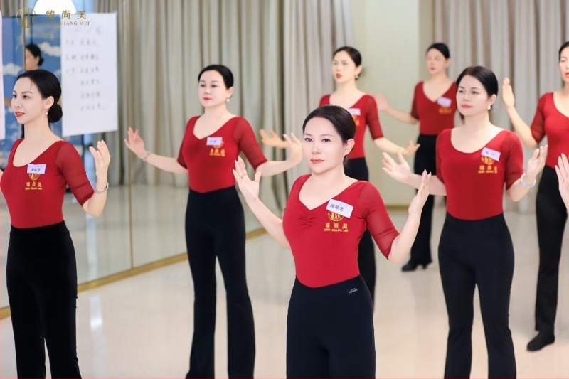 Modni plesni trening-komplet; materijal: pamuk 33,7%; podstava: mliječna svila; sve sezone; pogodno za Belly Dance, balet i latino ples