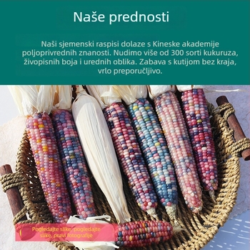 Kukuruzni minimalistički ukras | polu ručna i polu mehanička izrada | pogodna kao reklamni ili poslovni poklon | prava intelektualne svojine nisu dodijeljena