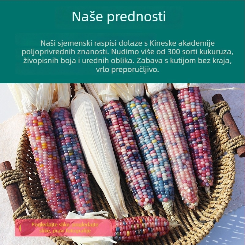 Kukuruzni minimalistički ukras | polu ručna i polu mehanička izrada | pogodna kao reklamni ili poslovni poklon | prava intelektualne svojine nisu dodijeljena