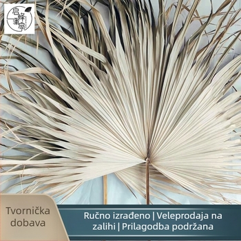 Veliki sušeni listovi palme s cvijećem za unutarnju dekoraciju, svadbenu dekoraciju i izlaganje u trgovini