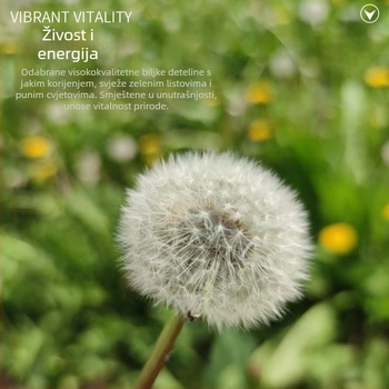 DIY set s očuvanim cvijećem: pampeliška u kutiji sa staklenim poklopcem, prirodni cvjetni materijal, smola